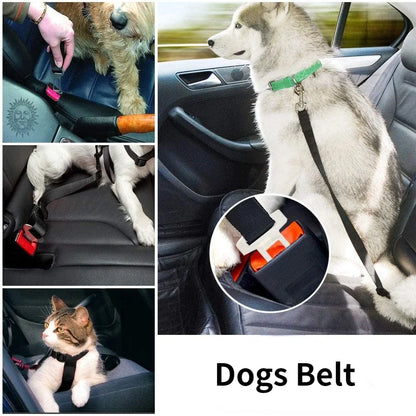 Doggy Seatbelt