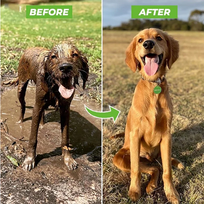 Doggy Hose Attachment