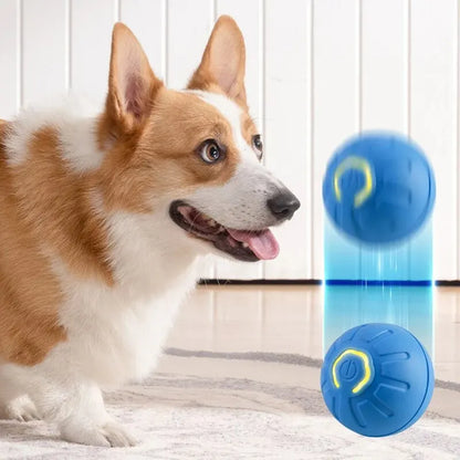 Dog Droid Automatic Interactive Toy Ball